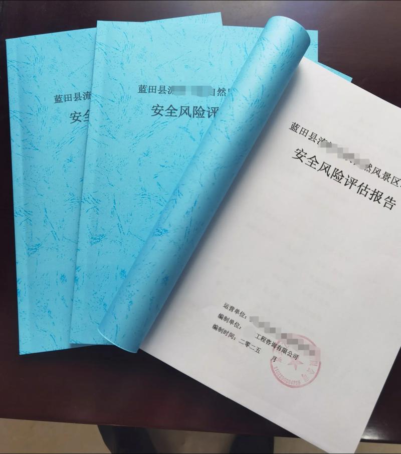 安全评估
